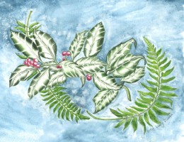 Holly and Christmas Fern