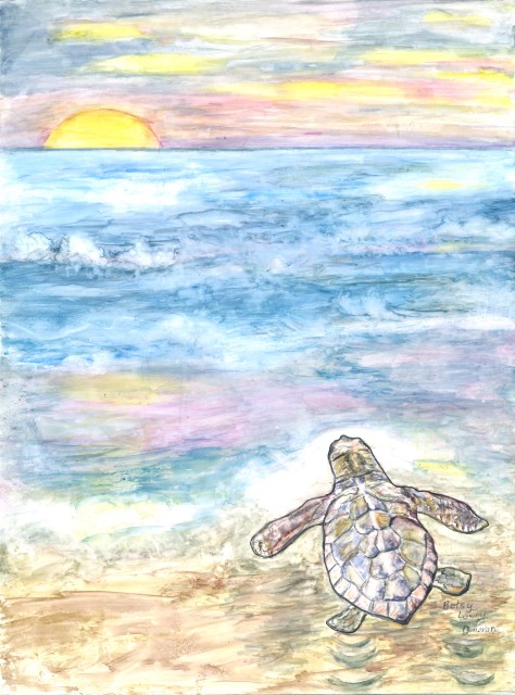 The Hatchling Has Made It to the Ocean